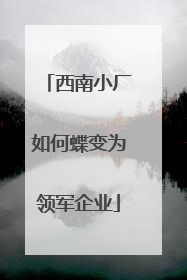 西南小厂如何蝶变为领军企业