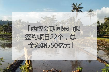 西博会期间乐山拟签约项目22个，总金额超550亿元
