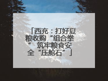 西充：打好夏粮收购“组合拳” 筑牢粮食安全“压舱石”
