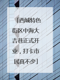 西城特色街区中海大吉巷正式开业，打卡市民真不少
