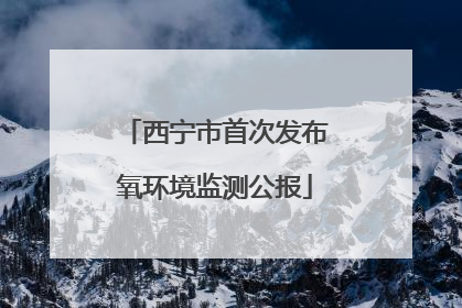 西宁市首次发布氧环境监测公报