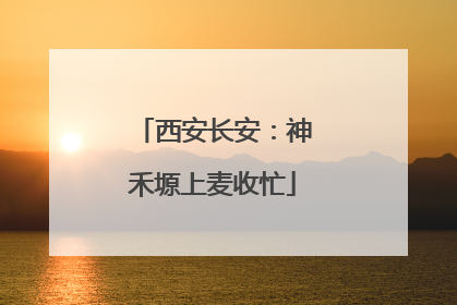 西安长安：神禾塬上麦收忙
