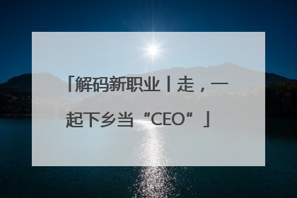 解码新职业丨走，一起下乡当“CEO”