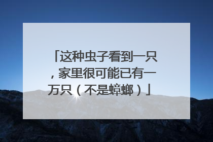 这种虫子看到一只，家里很可能已有一万只（不是蟑螂）