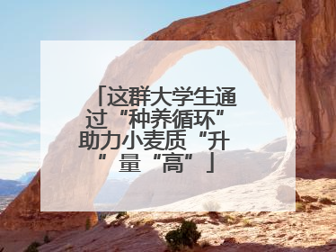 这群大学生通过“种养循环”助力小麦质“升”量“高”