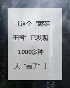 这个“蘑菇王国”已发现1000多种大“菌子”