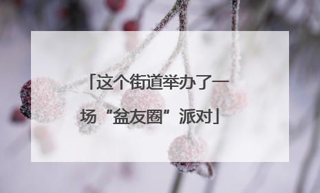 这个街道举办了一场“盆友圈”派对
