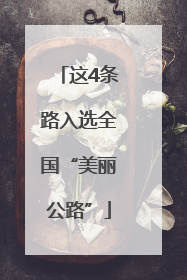 这4条路入选全国“美丽公路”