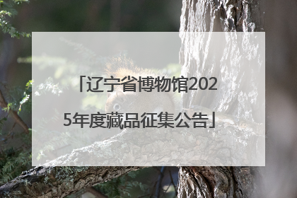辽宁省博物馆2025年度藏品征集公告
