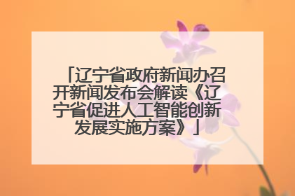 辽宁省政府新闻办召开新闻发布会解读《辽宁省促进人工智能创新发展实施方案》