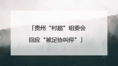 贵州“村超”组委会回应“被足协叫停”