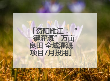 资阳雁江：“一键灌溉”万亩良田 全域灌溉项目7月投用
