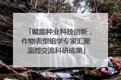 赋能种业科技创新，作物表型组学专家汇聚淄博交流科研成果