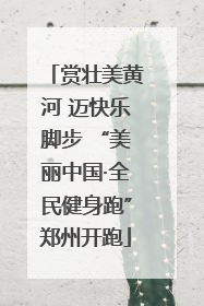 赏壮美黄河 迈快乐脚步 “美丽中国·全民健身跑”郑州开跑