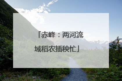赤峰：两河流域稻农插秧忙