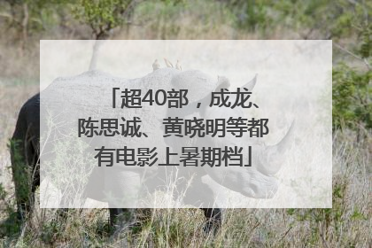 超40部，成龙、陈思诚、黄晓明等都有电影上暑期档