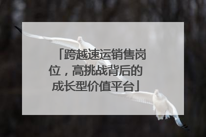跨越速运销售岗位，高挑战背后的成长型价值平台