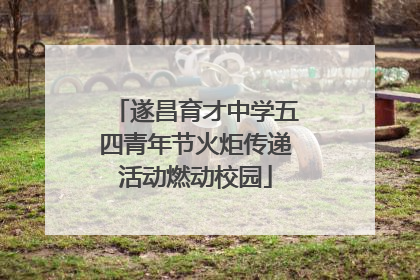 遂昌育才中学五四青年节火炬传递活动燃动校园