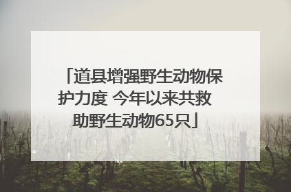 道县增强野生动物保护力度 今年以来共救助野生动物65只