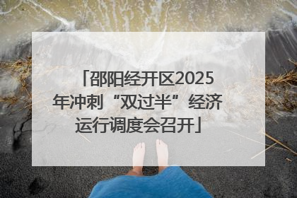 邵阳经开区2025年冲刺“双过半”经济运行调度会召开