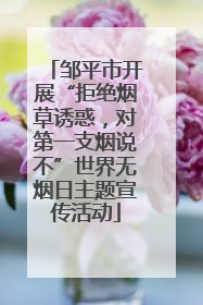 邹平市开展“拒绝烟草诱惑，对第一支烟说不”世界无烟日主题宣传活动