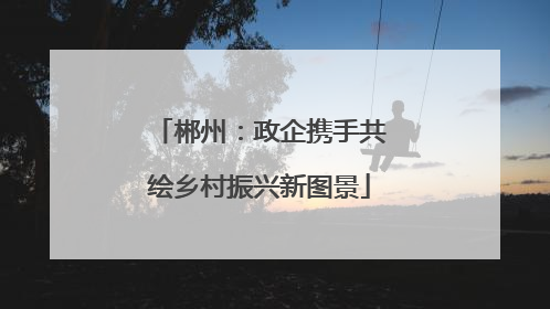 郴州：政企携手共绘乡村振兴新图景