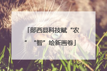 郧西县科技赋“农”“智”绘新画卷