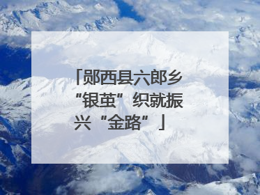 郧西县六郎乡“银茧”织就振兴“金路”