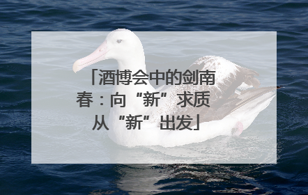 酒博会中的剑南春：向“新”求质 从“新”出发