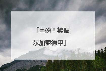 重磅！樊振东加盟德甲
