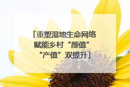 重塑湿地生命网络 赋能乡村“颜值”“产值”双提升