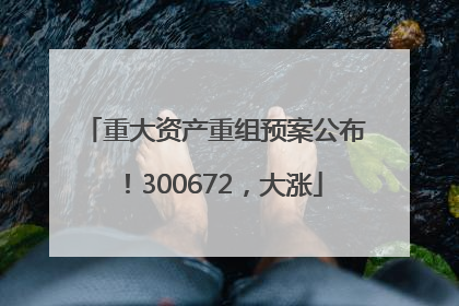 重大资产重组预案公布！300672，大涨
