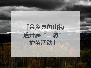 金乡县鱼山街道开展“三防”护苗活动