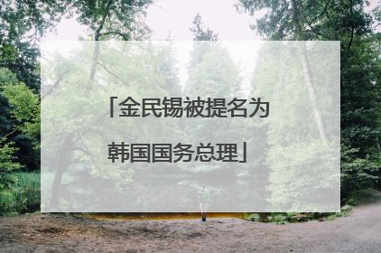 金民锡被提名为韩国国务总理