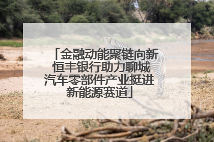 金融动能聚链向新 恒丰银行助力聊城汽车零部件产业挺进新能源赛道