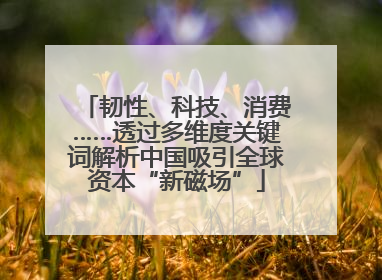 韧性、科技、消费……透过多维度关键词解析中国吸引全球资本“新磁场”