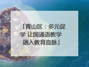 青山区：多元促学 让国通语教学融入教育血脉
