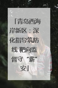 青岛西海岸新区：深化指导筑防线 靶向监督守“薪”安