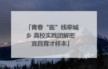 青春“医”线牵城乡 高校实践团解密宜昌育才样本