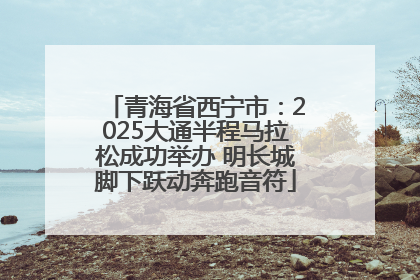 青海省西宁市：2025大通半程马拉松成功举办 明长城脚下跃动奔跑音符