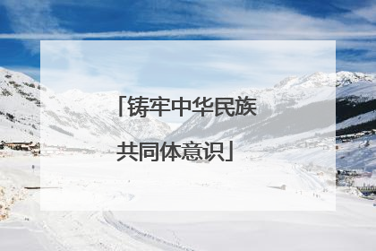 铸牢中华民族共同体意识