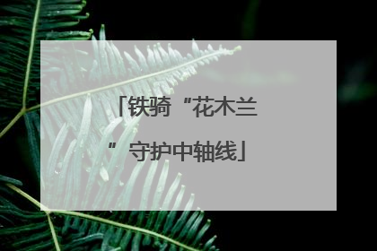 铁骑“花木兰”守护中轴线