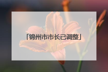 锦州市市长已调整