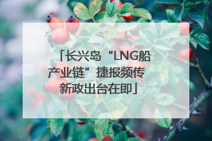 长兴岛“LNG船产业链”捷报频传 新政出台在即