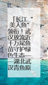 长江“美人鱼”领衔！武汉放流近千万尾鱼苗守护绿色生态——湖北武汉青鱼原种场参加2025年“全国放鱼日”增殖放流活动