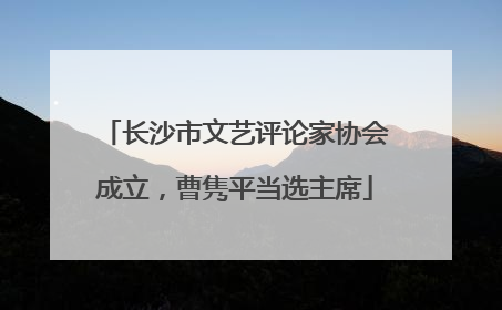 长沙市文艺评论家协会成立，曹隽平当选主席