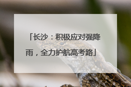长沙：积极应对强降雨，全力护航高考路