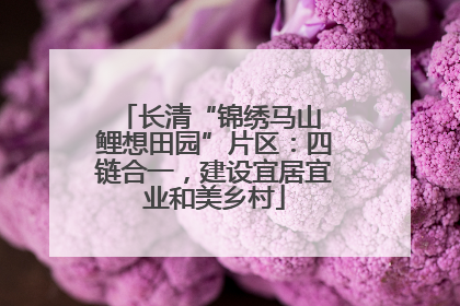 长清“锦绣马山 鲤想田园”片区：四链合一，建设宜居宜业和美乡村