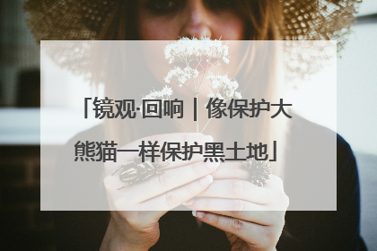 镜观·回响｜像保护大熊猫一样保护黑土地