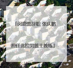 闵鹿蕾辞职 张庆鹏担任北控男篮主教练
